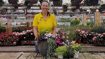 PETITTI Container Gardening | A Planter Made for Sun AND Shade