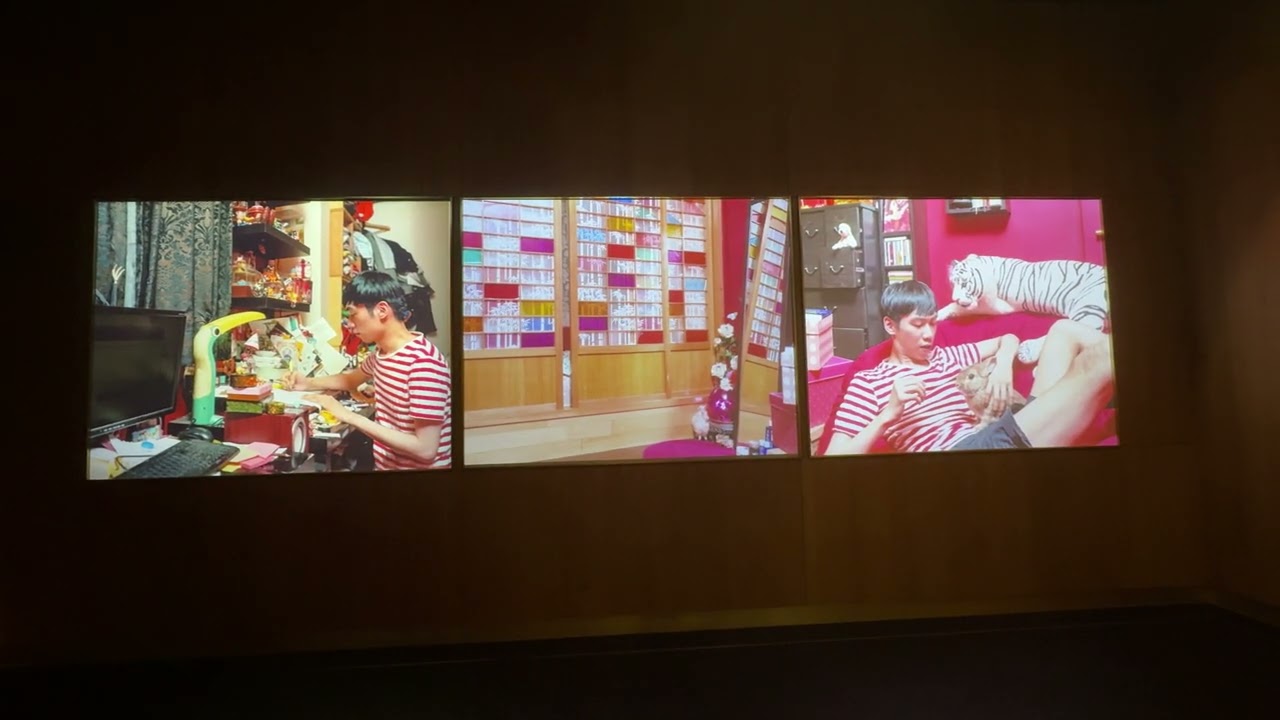 Video Documentary at the National Taiwan Museum on November 20, 2025