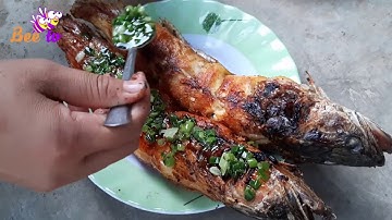 Thưởng thức món cá lóc nướng lá chuối ngon không chổ nào chê | BEE TV