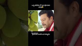 శ్రీకాకుళం అంటే ఒక నమ్మకం