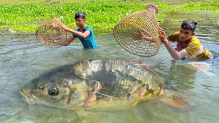 Amazing Traditional Village Boys Fishing By Bamboo Tools Polo Trap In River | #fishing video