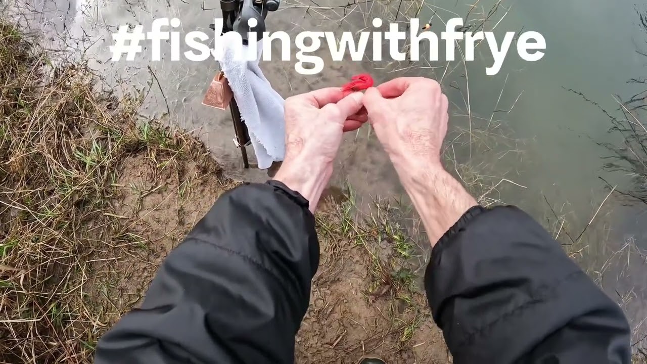 How To Video, Plunking For Steelhead, Rigging Up Coon Shrimp, My Favorite Way, 