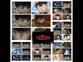 spider man brand new day detective conan movie 29