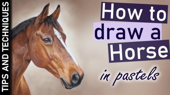 Introduction to using Pastel Pencils 