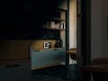 Tailored Interiors for Modern Lifestyles  PlanetDecore