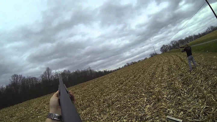 THF SG Birds Test GoPro