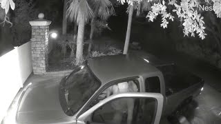 Pizza Delivery Gate Crash || ViralHog