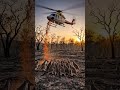 Do you know?They survived the fire... but then came a deadlier threat silence Emptiness Starvation.