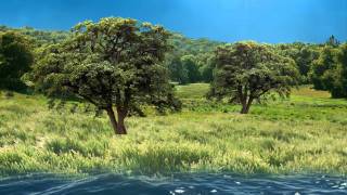 Genesis 1:1-31 - Remembering Creation