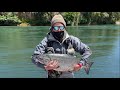 #67 Pesca en rio Tolten, truchas arcoiris, fario y salmon chinook