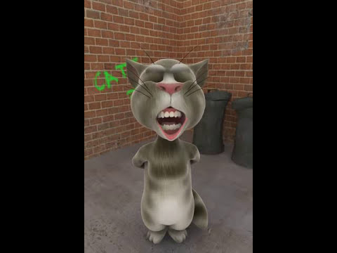 Говорящий кот Том - YouTube