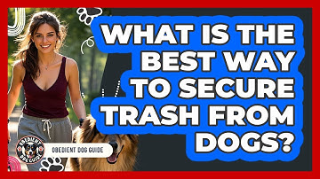 What Is The Best Way To Secure Trash From Dogs?