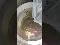 New Zebra Fishes and Betta Tub Setup! 🐠💥 Zebra fish tamil, Zebra danio fish care #shorts #zebrafish