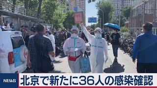 北京 食品卸売市場での集団感染続報