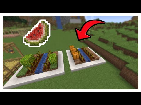 فيديو: أين تجد البطيخ في Minecraft