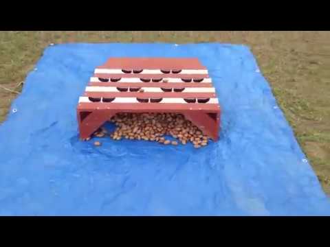 This Nutgrabbing Machine Is Mesmerizing !