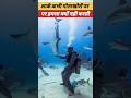शार्क गोताखोरों पर हमला क्यों नही करती || shark #utubeshorts #ytshorts #facts #video #amazingfacts