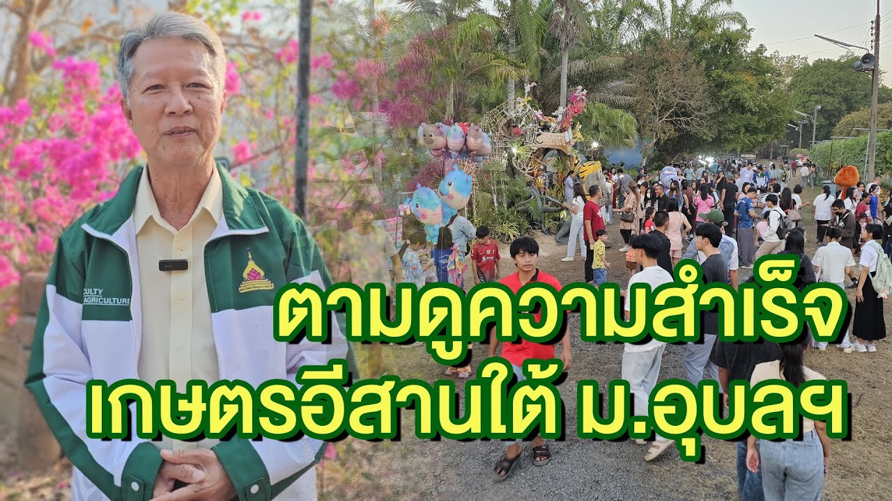 ตามดูความสำเร็จ เกษตรอีสานใต้ ม.อุบลฯ