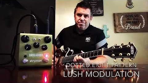 Why I love the Strymon Brigadier in 17 seconds