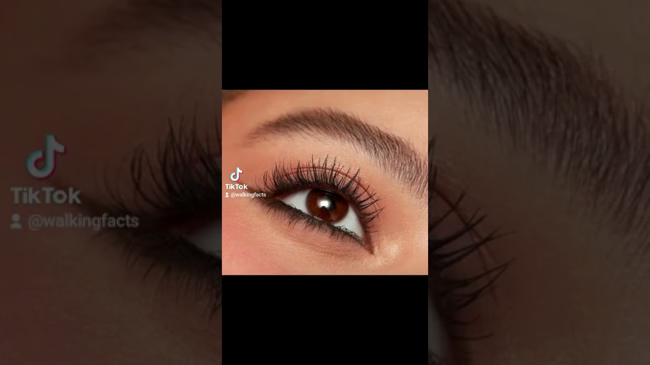 NEW Morphe 2 Wink & Wow Nourishing Mascara