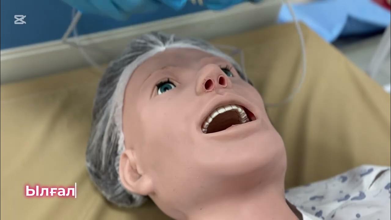 Дәретханаға сиып жатқан қыздардың порно видеосы