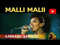 Ilfinesh Qannoo Malli Malii Ethiopian Oromo Music