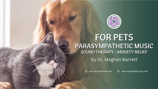9 HOURS Calming Music for Pets by Dr. Barrett