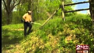 Best string trimmers