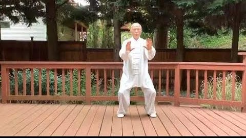 李景晨演示《太极气功十八式第一套》