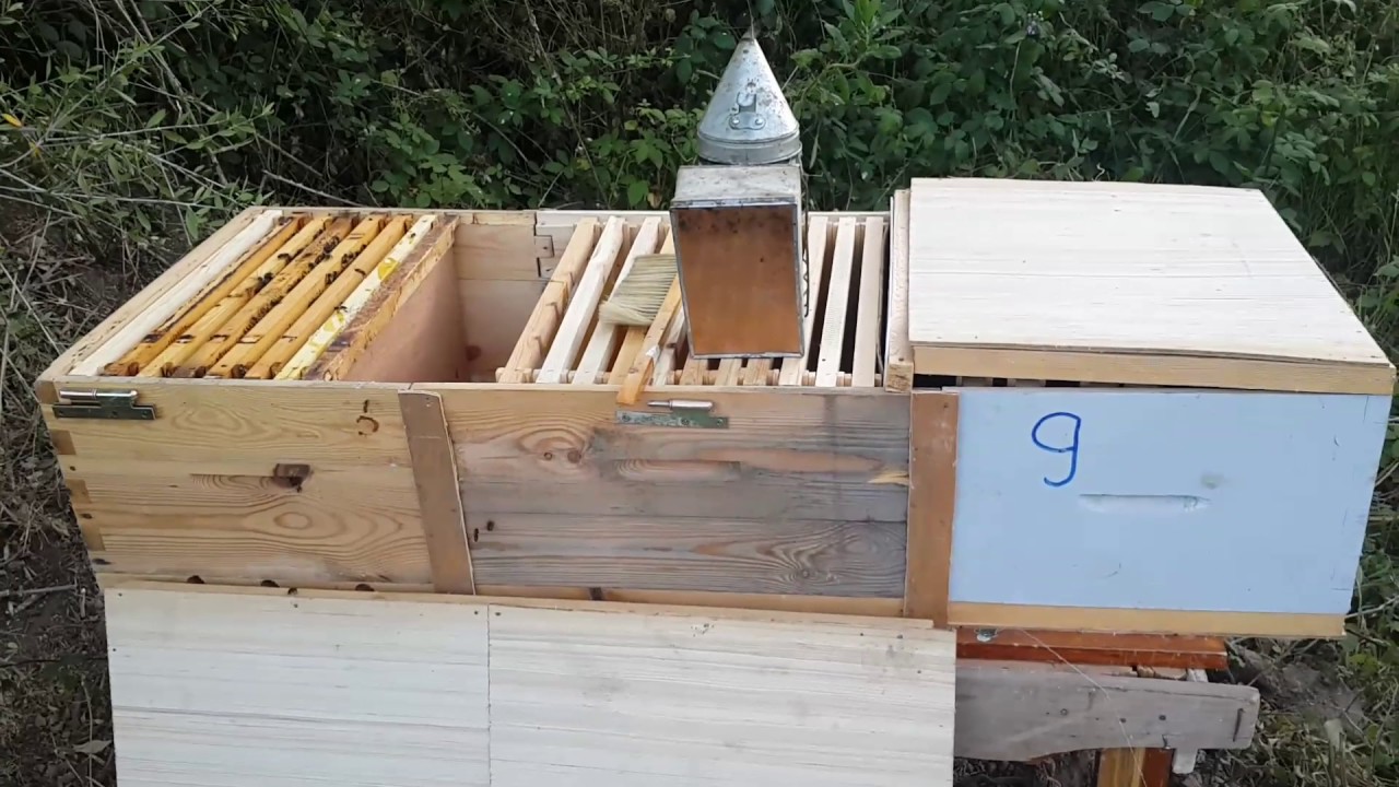 Long Langstroth hive - YouTube