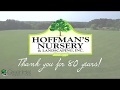 Hoffmans nursery