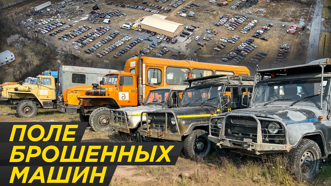 Им конец: нашли 100 машин на краю земли - кто их бросил? #ДорогоБогато