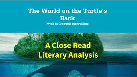 "The World on the Turtle