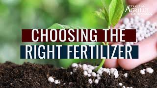 Choosing the right fertilizer for vegetable gardens