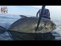 PESCASUB : Sardegna pesca apnea in 3 metri - Pesca subacquea in acqua bassa - Spearfishing 2020