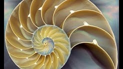 L'essenziale è invisibile agli occhi, fino a quando...Duccio Locati PSYCH-K®