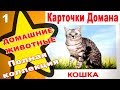 Карточки Домана Домашние животные часть 1