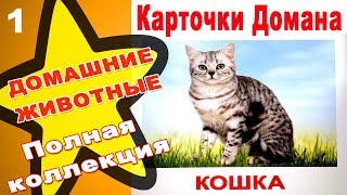 Карточки Домана Домашние животные часть 1