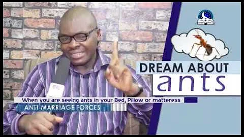 DREAM ABOUT ANTS  I Find Out The Biblical Meaning of Ants In Dreams I - DayDayNews