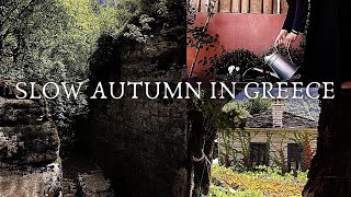 Greek Countryside | Slow Autumn Weekend 🍂 | Natural Rock Pools | Gardening | ASMR Vlog | Slow Living screenshot 1