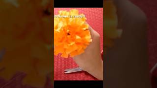 Unique way of making paper Marigold πΌ
Unique way of making paper Marigold πΌ Unique way of making paper Marigold πΌ