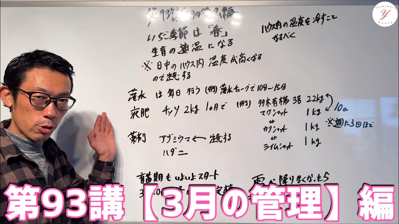 【いちご栽培】第93講【3月の管理】編 いちご収穫期後半スタートと育苗期のスタート！