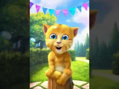 Βίντεο: Κάλτσα γάτα παιχνίδι