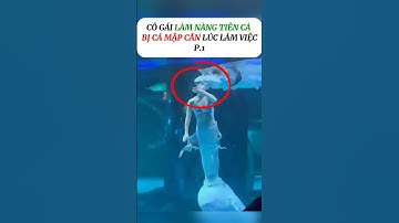 [P.1] Sự thật về cô gái Bị cá Mập tấn công #shorts