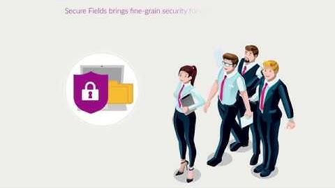 Secure Fields for Jira - Overview and feature tour