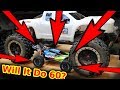 Is This The Best NEW Small RC Car Buggy? first run + X-Maxx Action