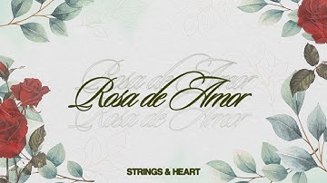 Strings & Heart - rosa de amor (Video de Letras Oficial)