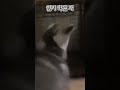 연기 학원 개
