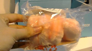 Loot Crate vs Nerd Block TOP 10 Worst Bits