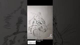 Snarling tiger